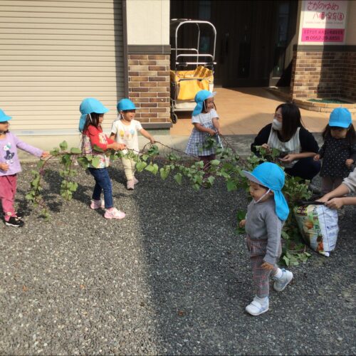 サツマイモ堀りをしましたよ♡