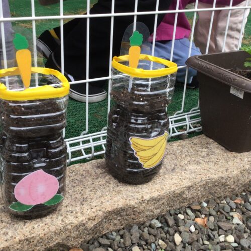 お花の苗・野菜の種植え