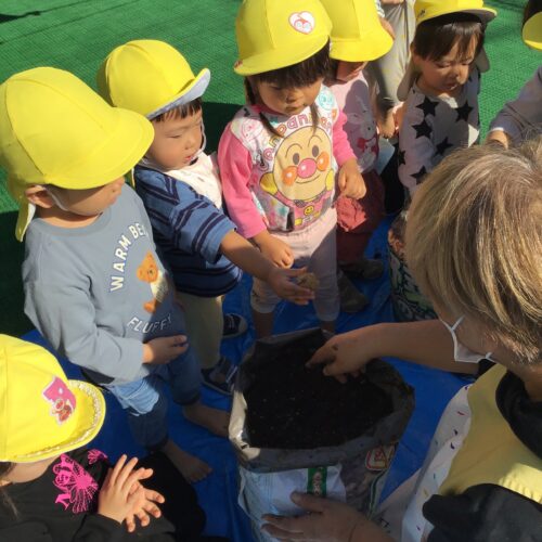 ☆11月のこども達の姿パート2☆