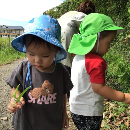 秋を探しにお散歩へ～